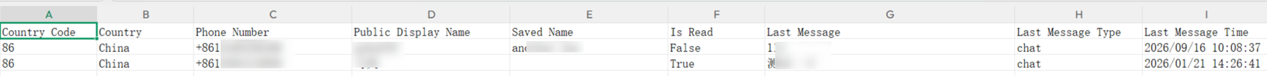 Label-filtered Excel contact list from Chat List, with private details blurred